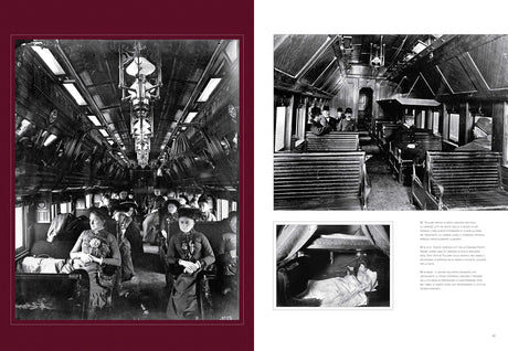 Trains: From Steam Locomotives to the Future of Sustainability - Retail Maharaj