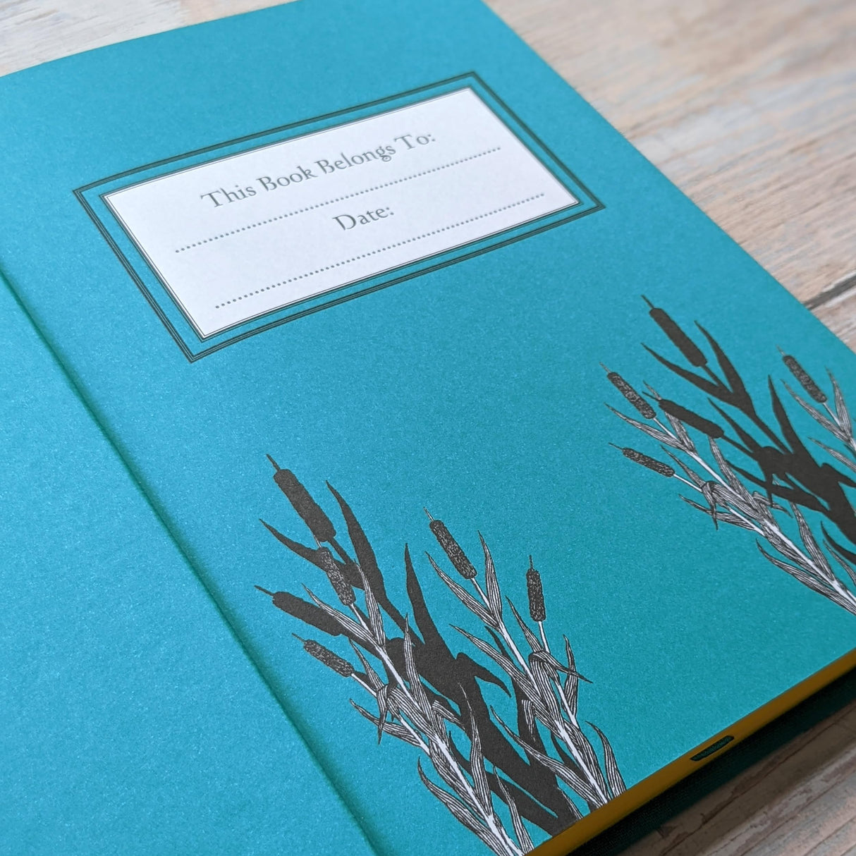 The Wind in the Willows (Bath Treasury of Children's Classics) - Retail Maharaj