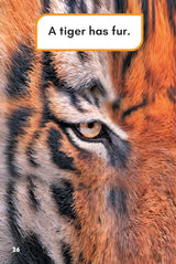What Would You Rather Be? A Tiger Or A Tiger Shark? - Retail Maharaj