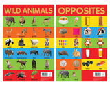 Mini Posters Envelope A3 size Pack of 10 Posters - Retail Maharaj