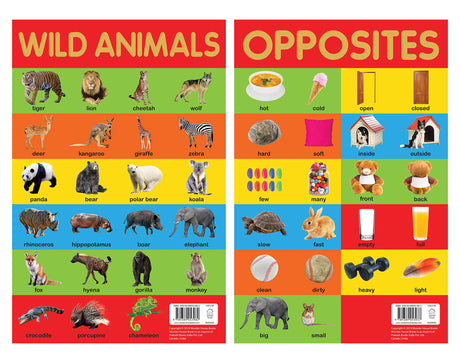 Mini Posters Envelope A3 size Pack of 10 Posters - Retail Maharaj