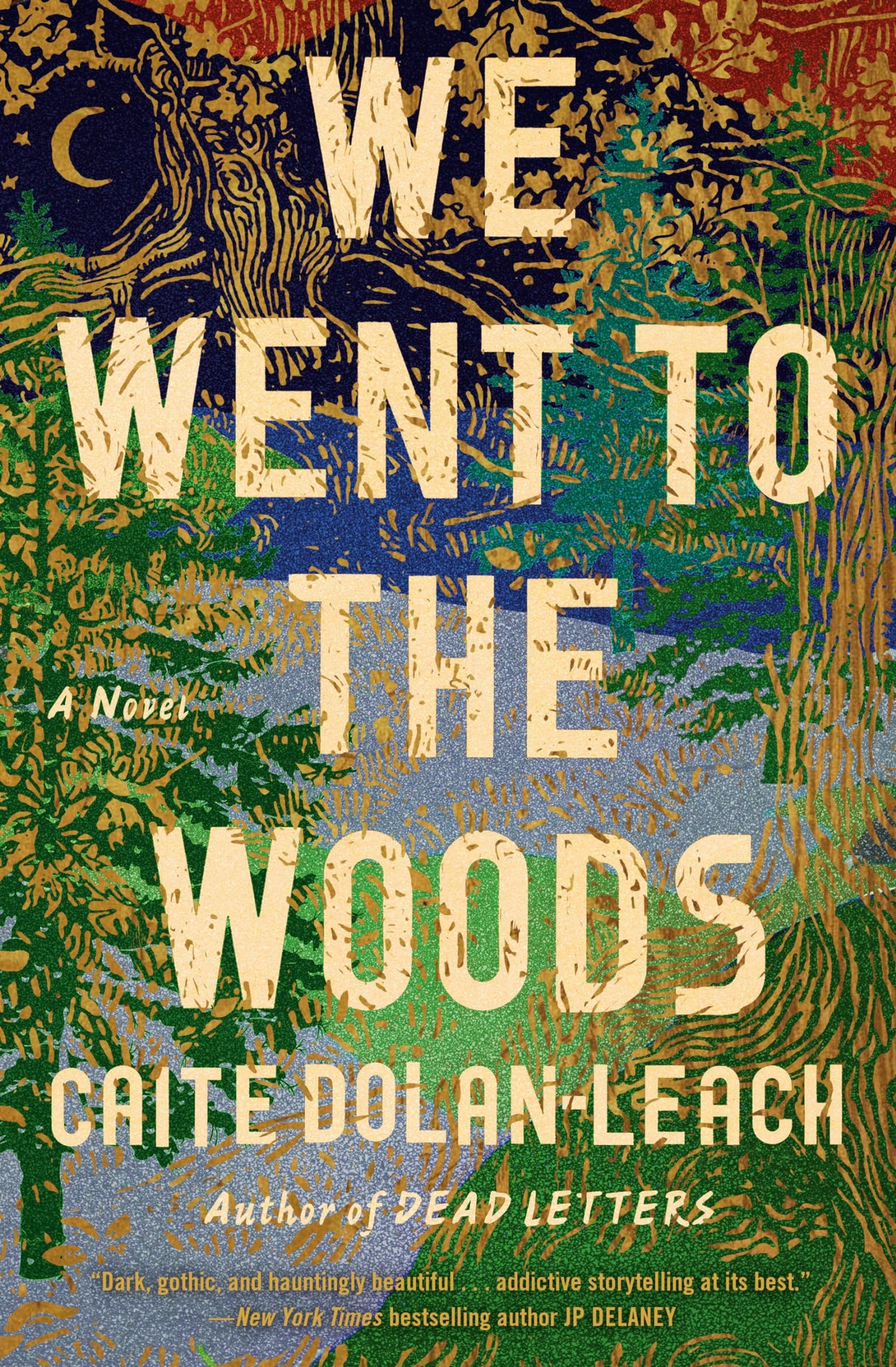 We Went to the Woods: A Novel - Retail Maharaj