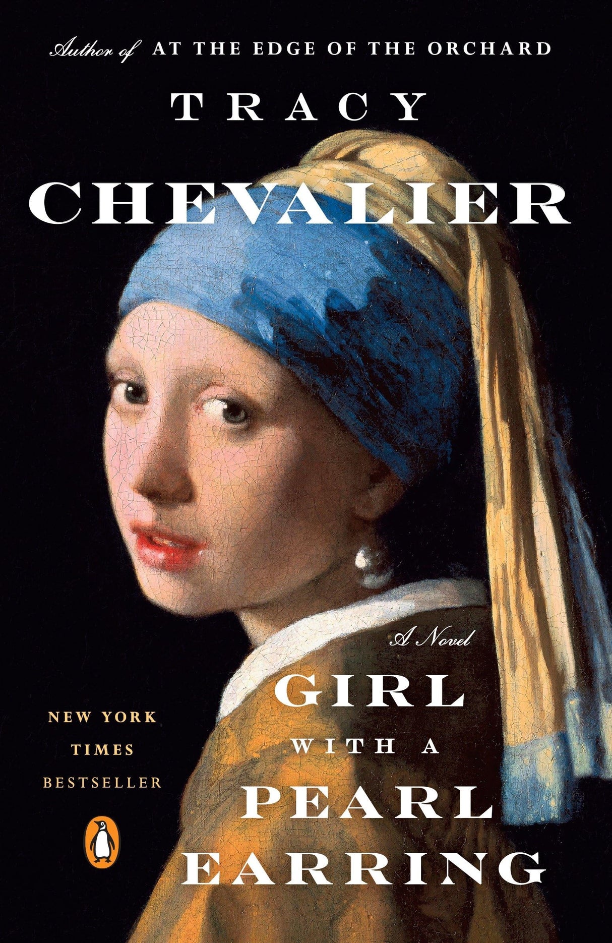 Girl With A Pearl Earring - Retail Maharaj