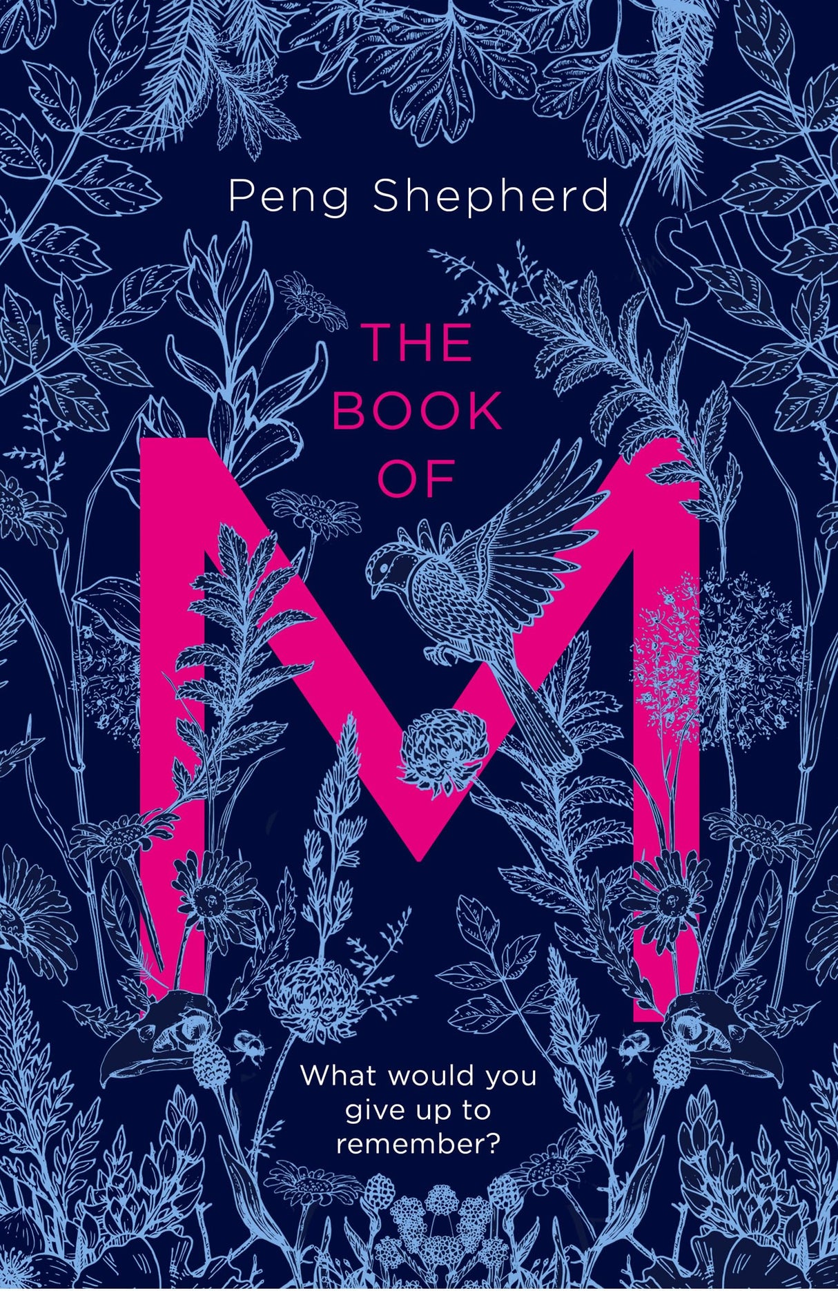 The Book of M - Retail Maharaj