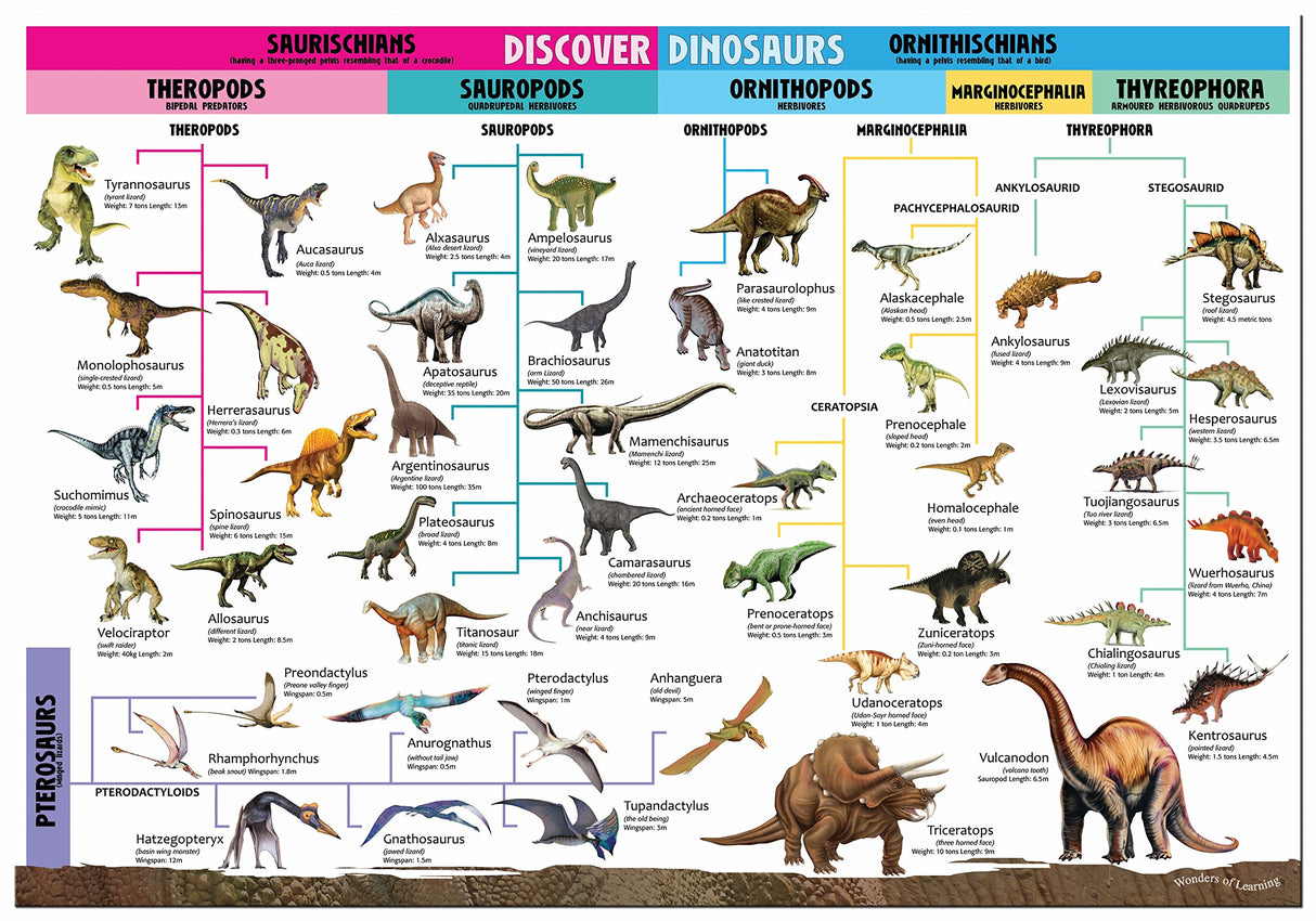 Discover Dinosaurs: Educational Box Set (Wonders of Learning Educational Box Set) - Retail Maharaj