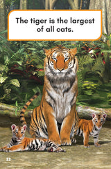 What Would You Rather Be? A Tiger Or A Tiger Shark? - Retail Maharaj