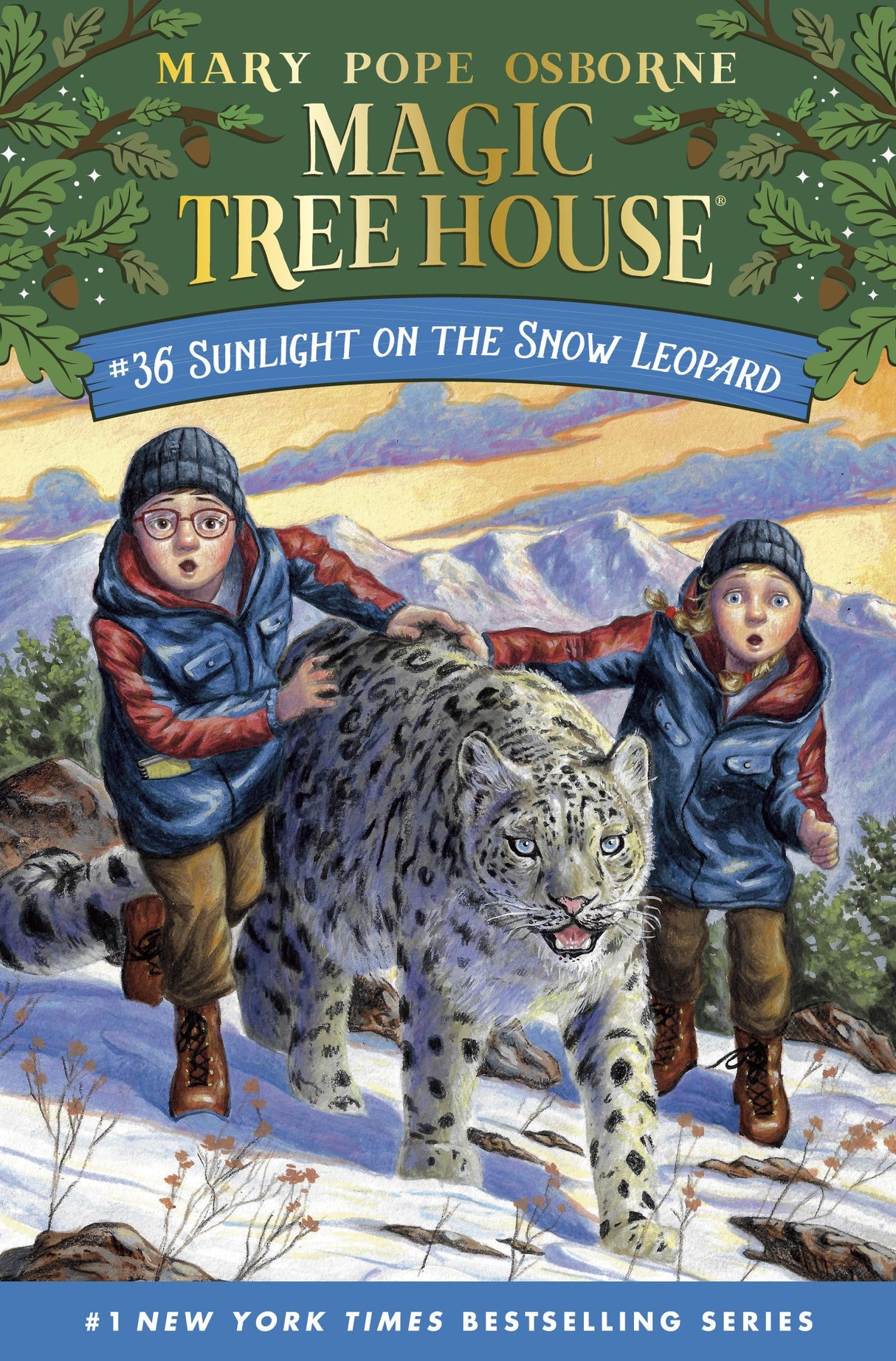 Sunlight on the Snow Leopard - Retail Maharaj