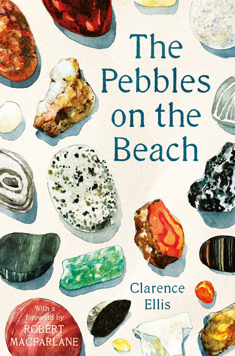 The Pebbles on the Beach - Retail Maharaj
