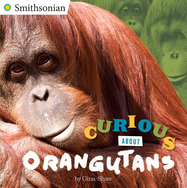 Curious about Orangutans (Smithsonian) - Retail Maharaj