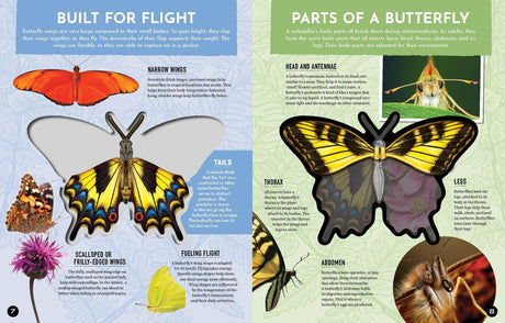 Inside Out Butterfly: Discover Nature'S Most Amazing Transfo - Retail Maharaj