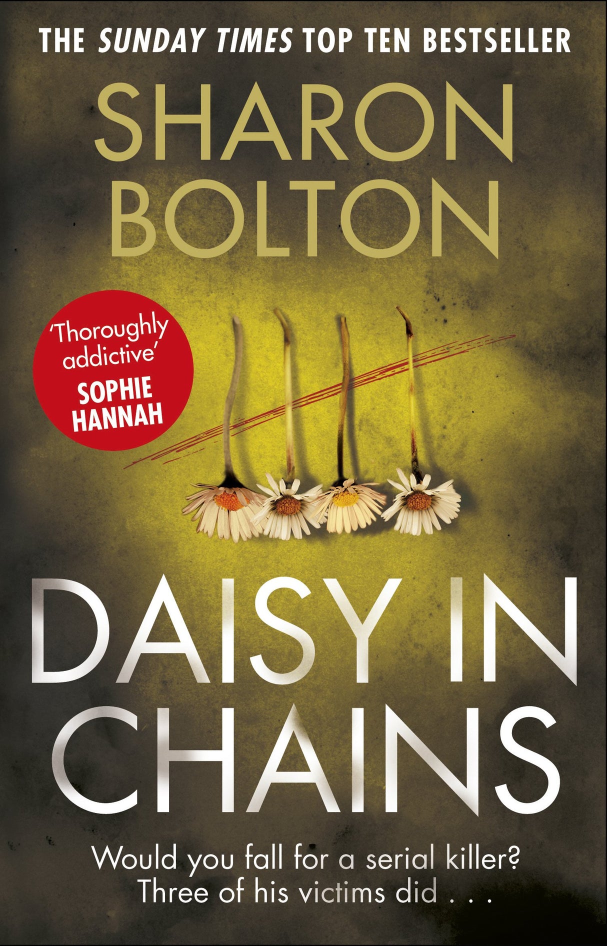 Daisy in Chains - Retail Maharaj