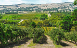 Through the Cellar Door: Australia's Beautiful Wineries and Vineyards, Their Design and Architecture - Retail Maharaj
