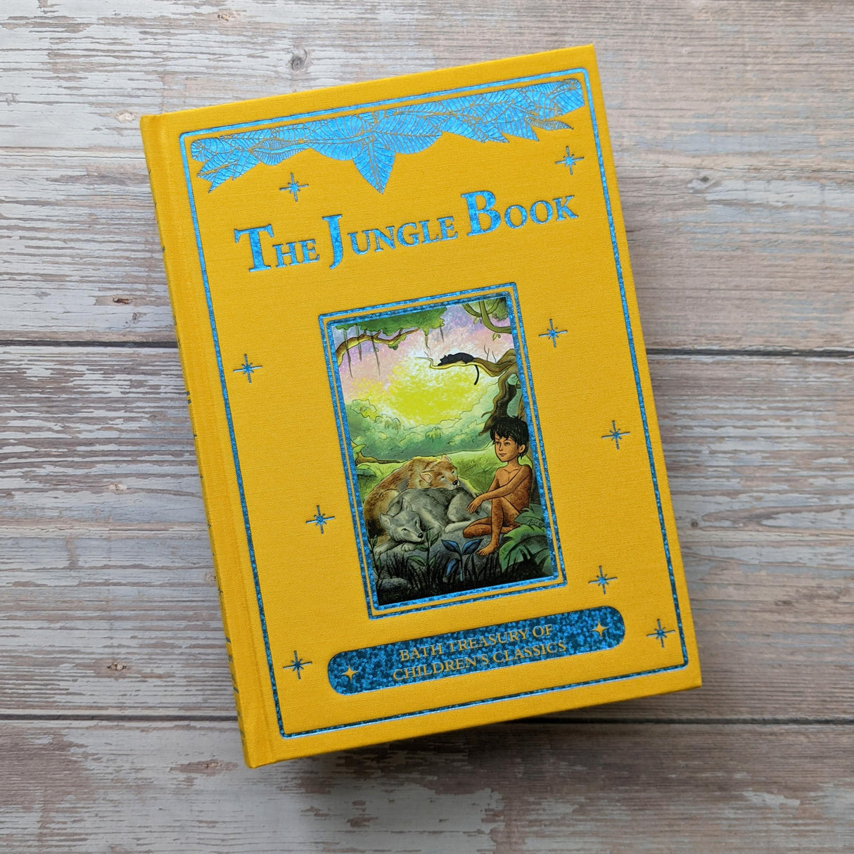 The Jungle Book (Bath Treasury of Children's Classics) - Retail Maharaj