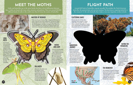 Inside Out Butterfly: Discover Nature'S Most Amazing Transfo - Retail Maharaj