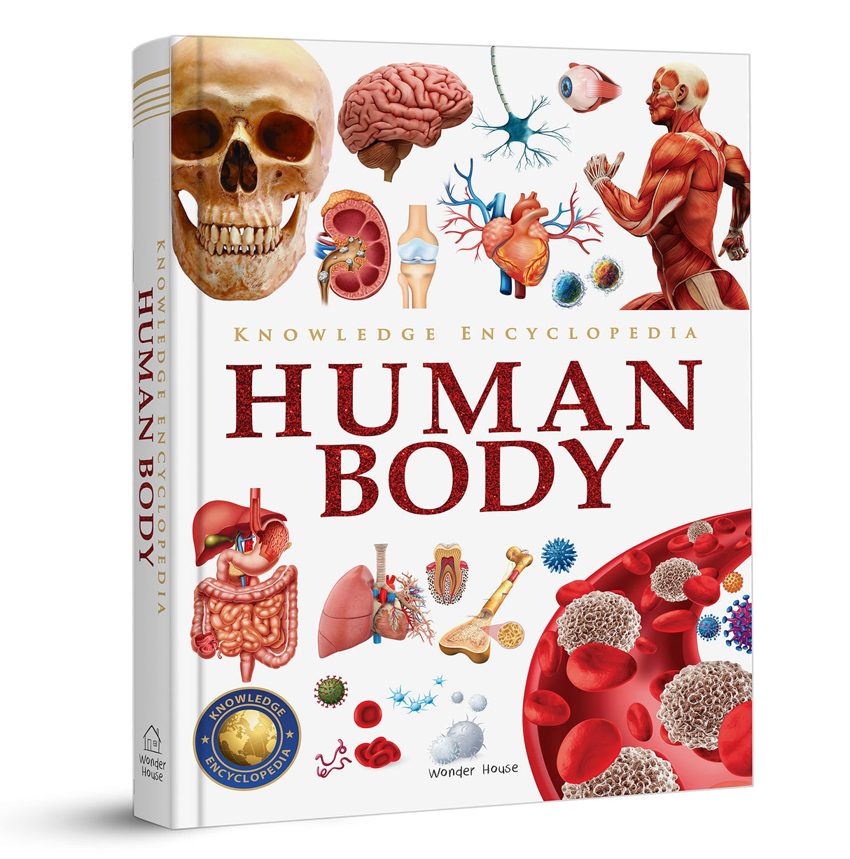 Knowledge Encyclopedia - Human Body - Retail Maharaj