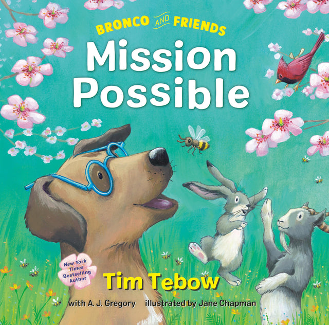 Bronco and Friends: Mission Possible: 2 - Retail Maharaj