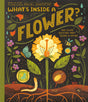 What's Inside A Flower?: And Other Questions About Science & Nature - Retail Maharaj