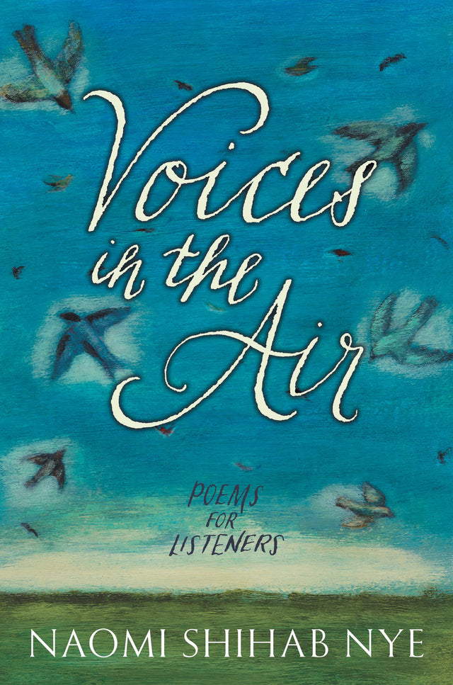 VOICES IN THE AIR - Retail Maharaj