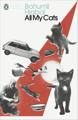 All My Cats - Retail Maharaj