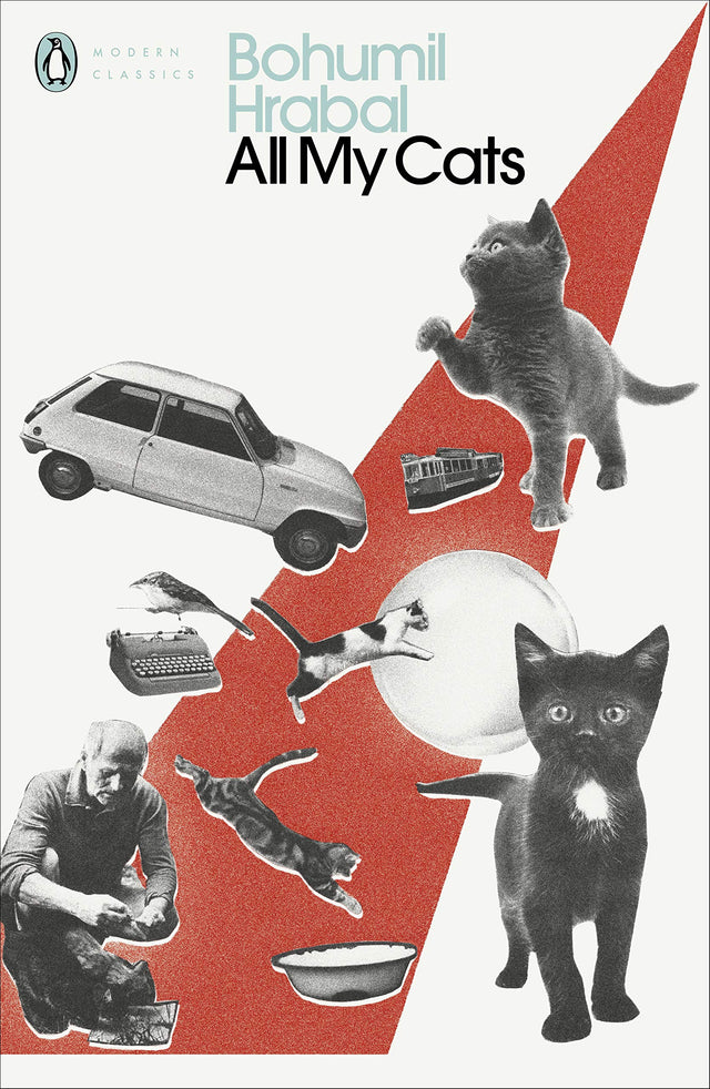 All My Cats - Retail Maharaj