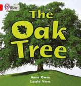The Oak Tree: Band 02b/Red B (Collins Big Cat) - Retail Maharaj