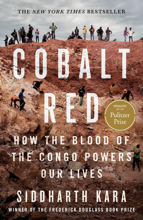Cobalt Red:How the Blood of the Congo Powers Our Lives - Retail Maharaj