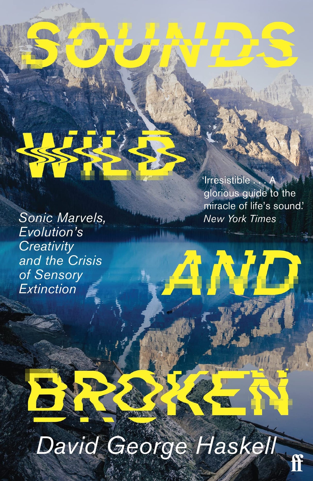 Sounds Wild and Broken - Retail Maharaj