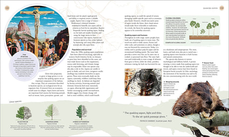 The Tree Book: The Stories, Science, and History of Trees - Retail Maharaj
