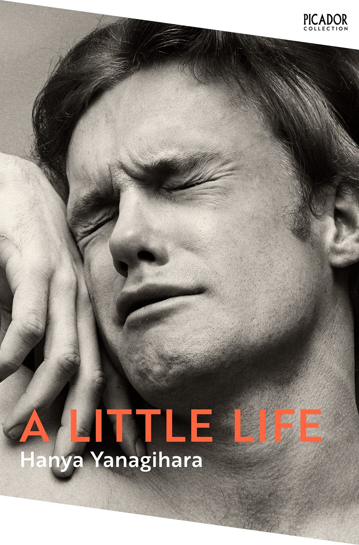 A Little Life - Retail Maharaj