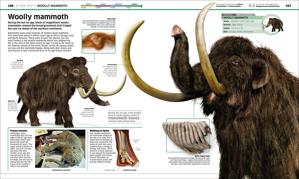 Knowledge Encyclopedia Dinosaur! Our Prehistoric World As You've Never Seen Before - Retail Maharaj