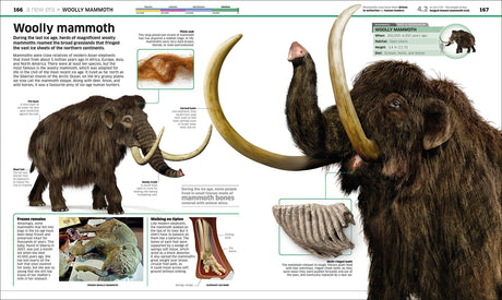 Knowledge Encyclopedia Dinosaur! Our Prehistoric World As You've Never Seen Before - Retail Maharaj