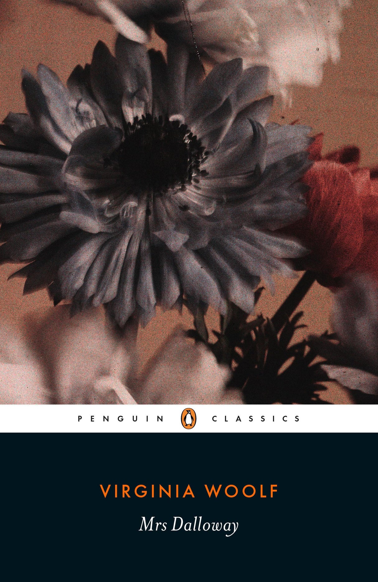 Mrs Dalloway - Retail Maharaj