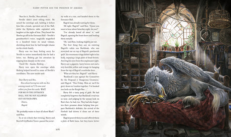 Harry Potter and the Prisoner of Azkaban - Retail Maharaj