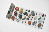 The Pebbles on the Beach - Retail Maharaj