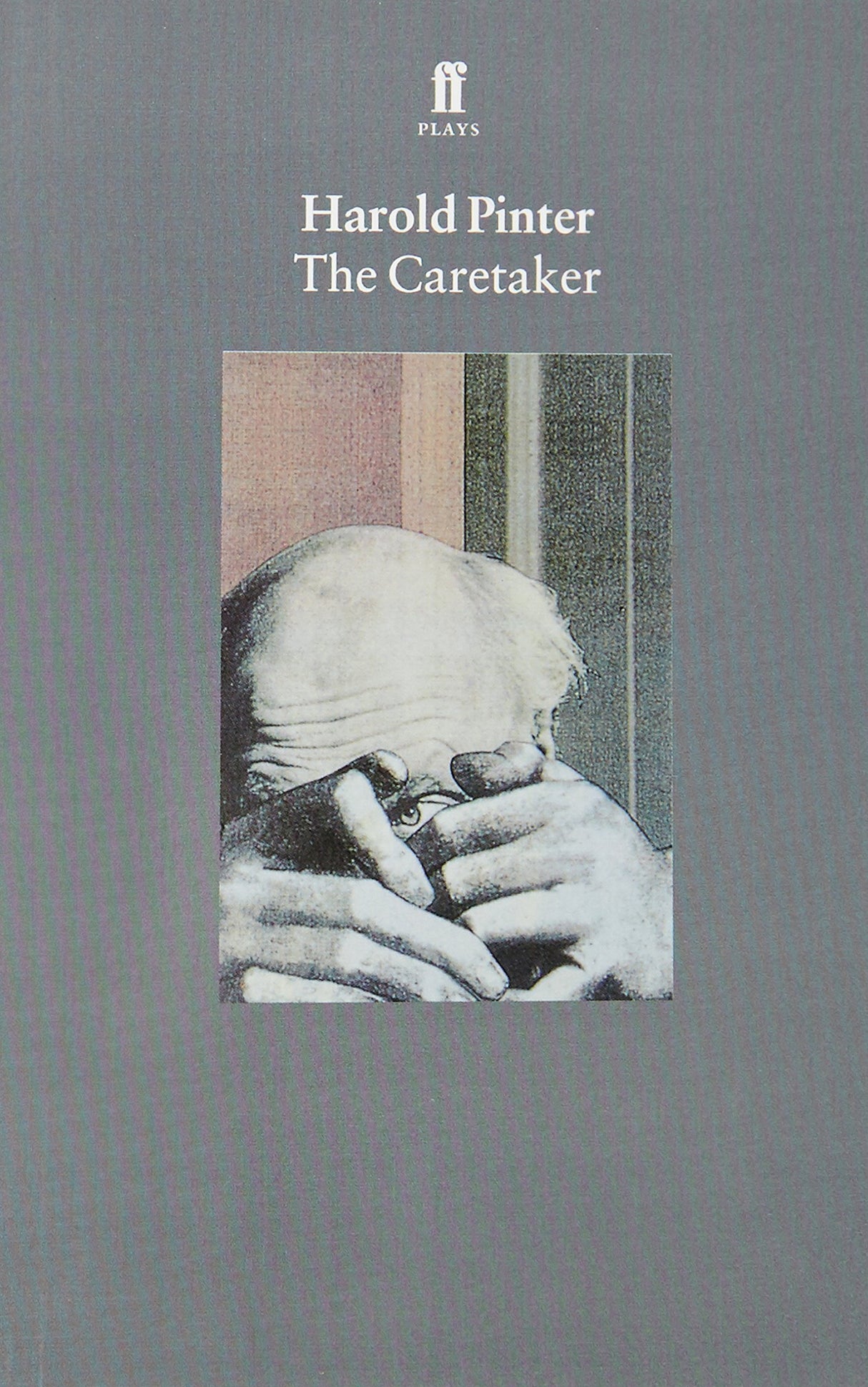 The Caretaker - Retail Maharaj