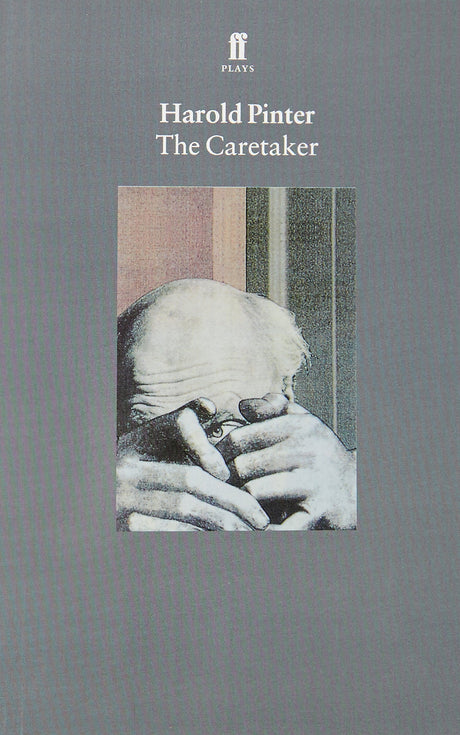 The Caretaker - Retail Maharaj