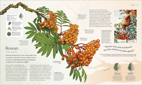 The Tree Book: The Stories, Science, and History of Trees - Retail Maharaj