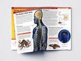 Human Body - Brain And Nervous System: Knowledge Encyclopedia For Children - Retail Maharaj