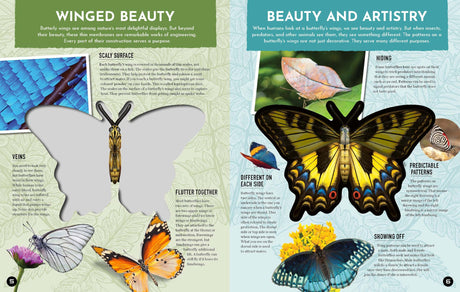Inside Out Butterfly: Discover Nature'S Most Amazing Transfo - Retail Maharaj