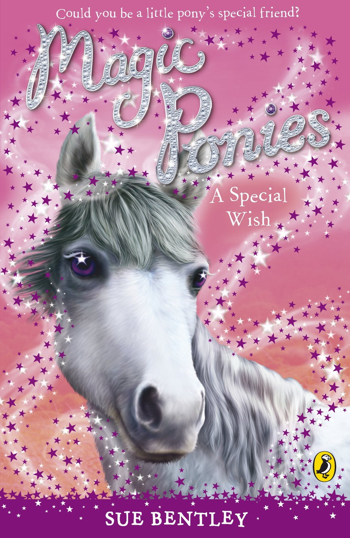 Magic Ponies: A Special Wish: 2 - Retail Maharaj