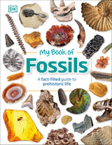 My Book of Fossils - Retail Maharaj
