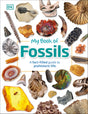 My Book of Fossils - Retail Maharaj
