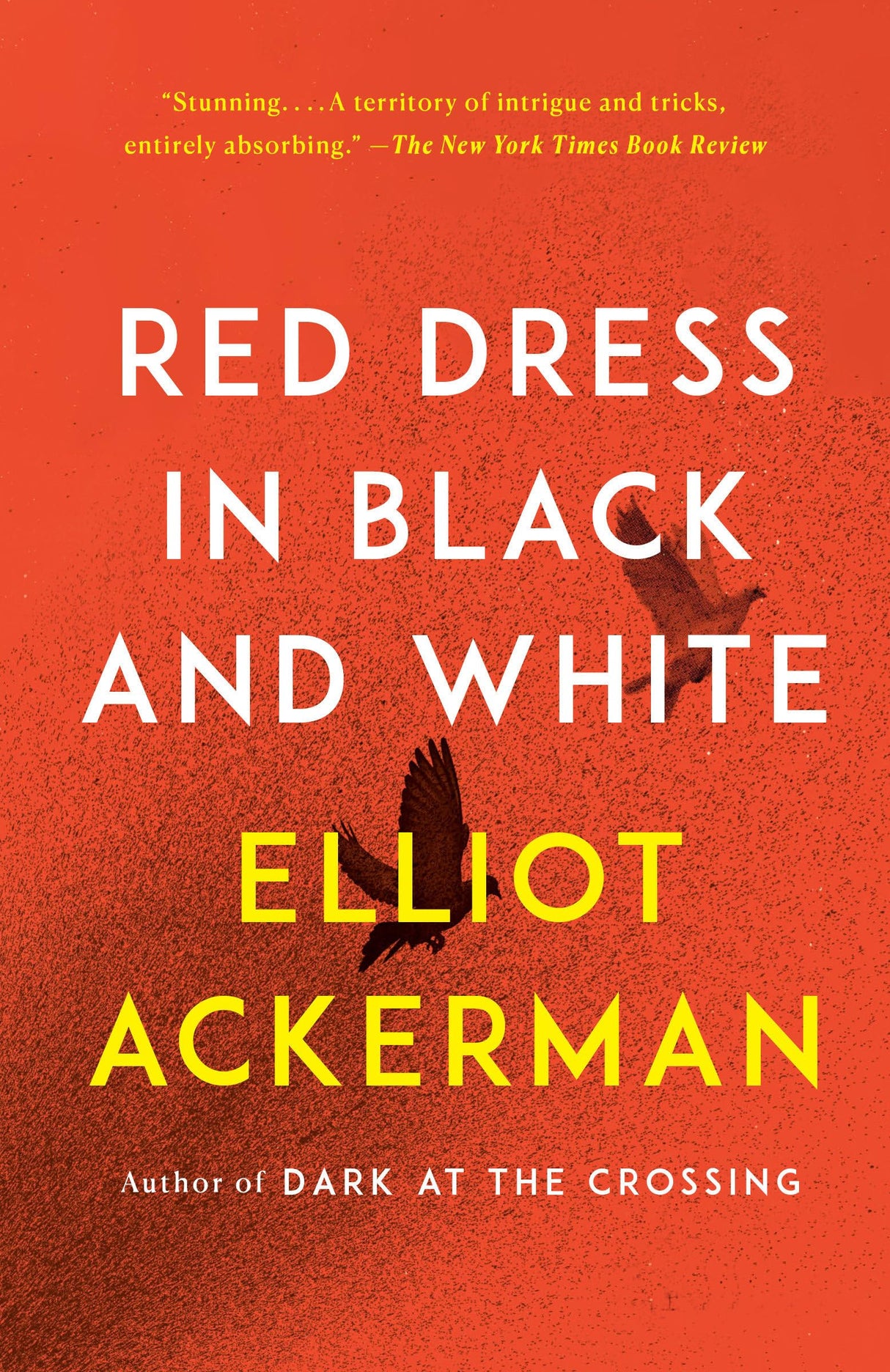 Red Dress in Black and White: A novel - Retail Maharaj