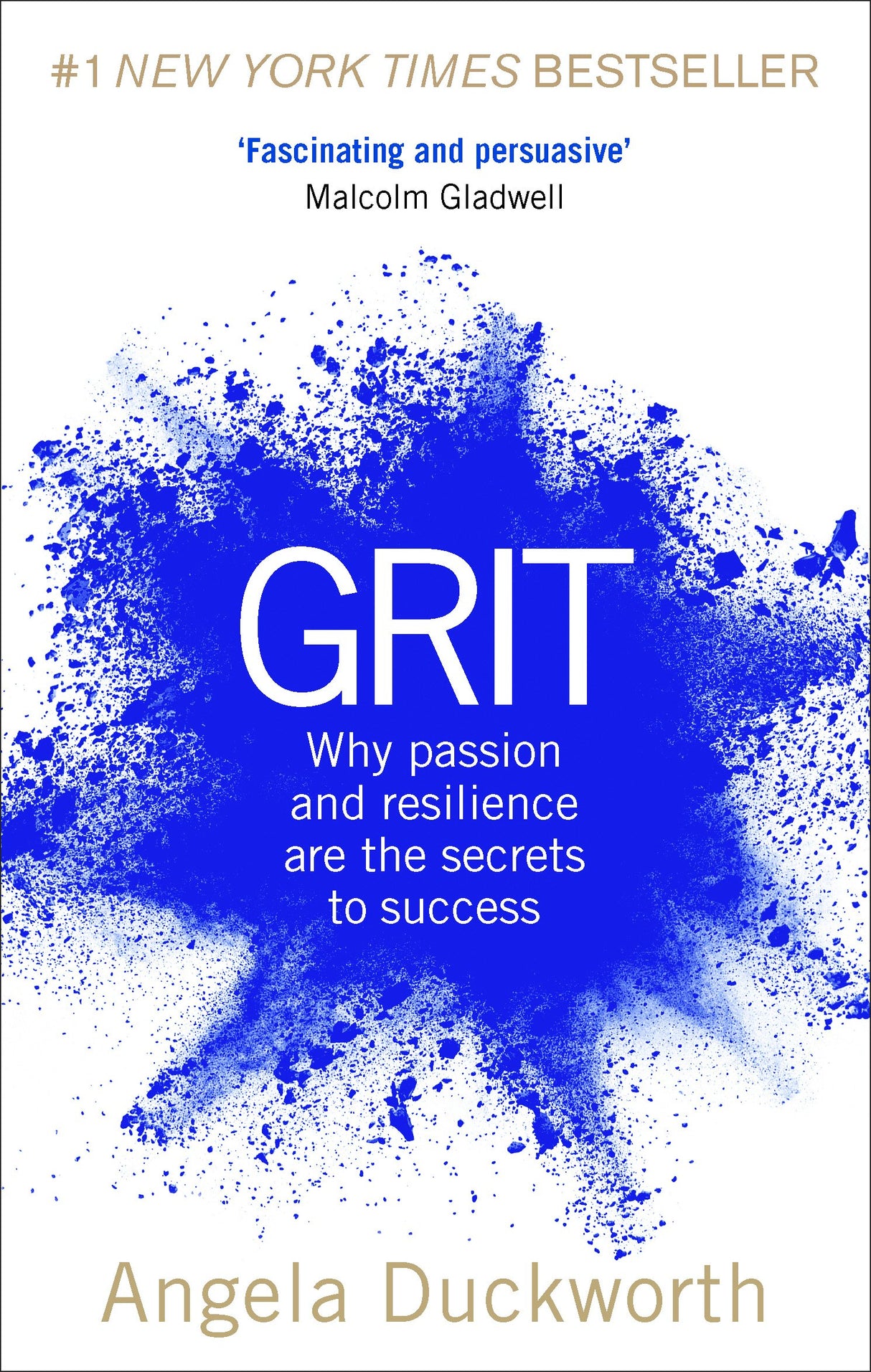 Grit: Why passion and resilience are the secrets to success - Retail Maharaj
