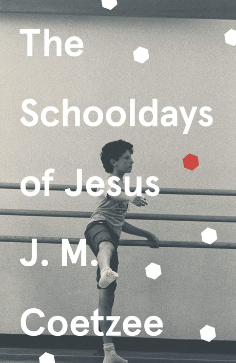 The Schooldays of Jesus - Retail Maharaj