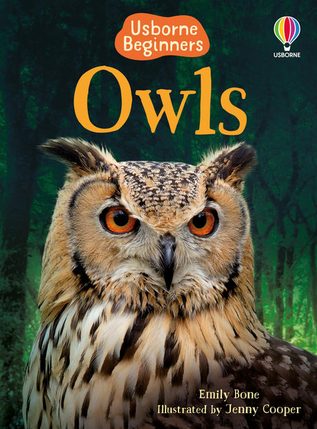 Owls - Retail Maharaj