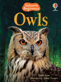Owls - Retail Maharaj