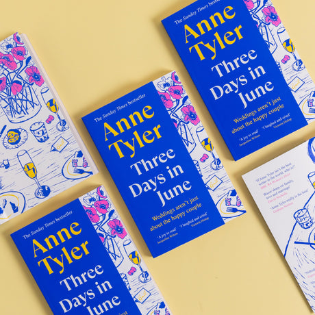 Three Days in June: A funny, touching, hopeful story of love, marriage and second chances - Retail Maharaj
