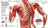 Knowledge Encyclopedia: Human Body!: Your Amazing Body As You've Never Seen It Before - Retail Maharaj