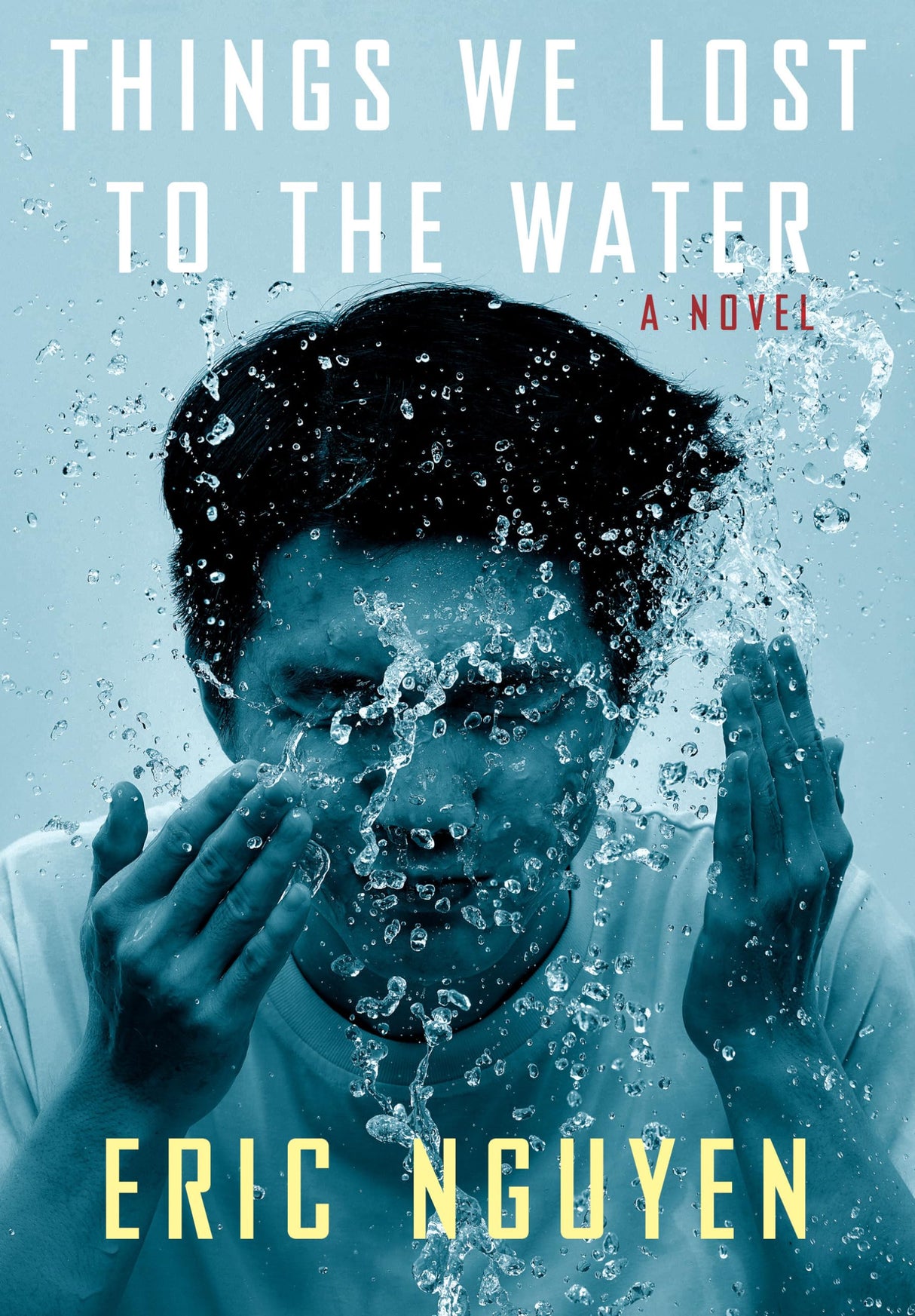 Things We Lost to the Water: A novel - Retail Maharaj